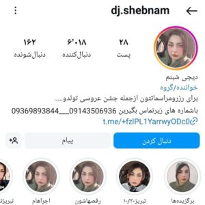 دی جی شبنم